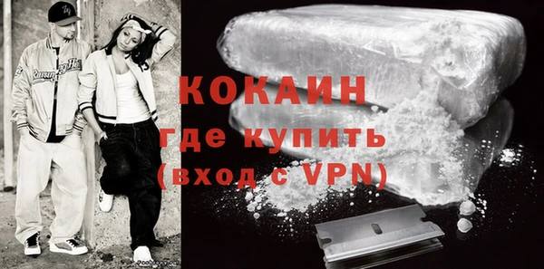 индика Абинск