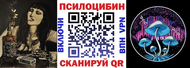 кракен ONION  Тавда  Галлюциногенные грибы Cubensis 