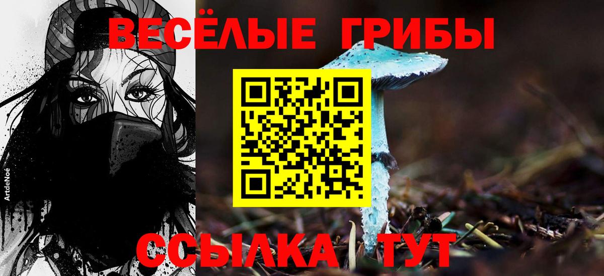 Псилоцибиновые грибы GOLDEN TEACHER  где продают   Тавда  Вход с VPN 